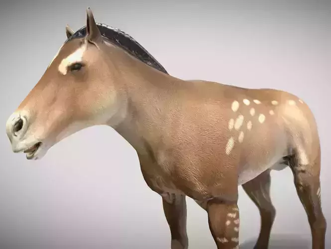 Mesohippus Low-poly 3D model