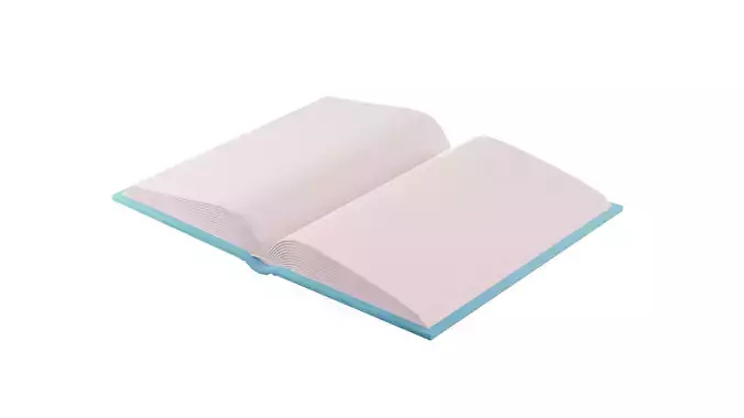 3D Base Book With Rig 3D model