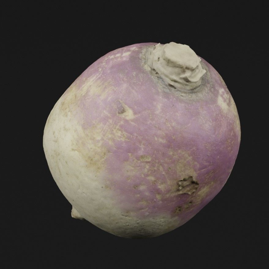 Turnip Vegetable 3D model_5