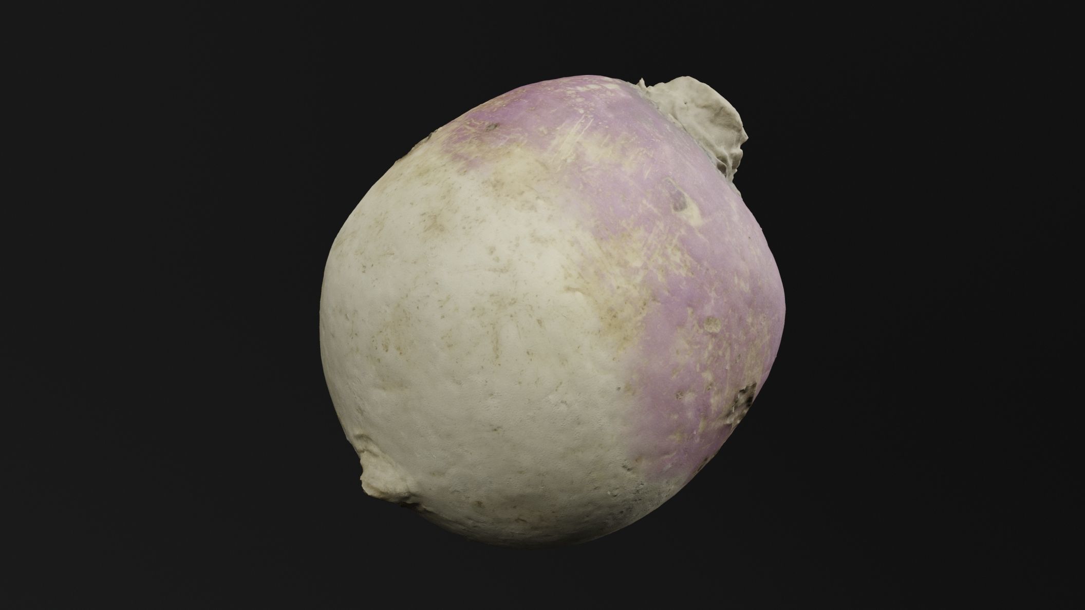 Turnip Vegetable 3D model_3