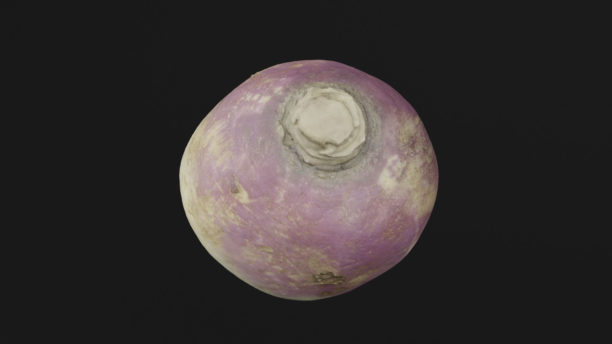 Turnip Vegetable 3D model_4