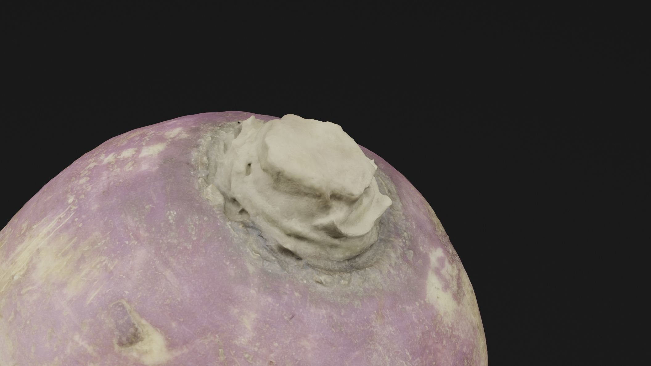 Turnip Vegetable 3D model_1