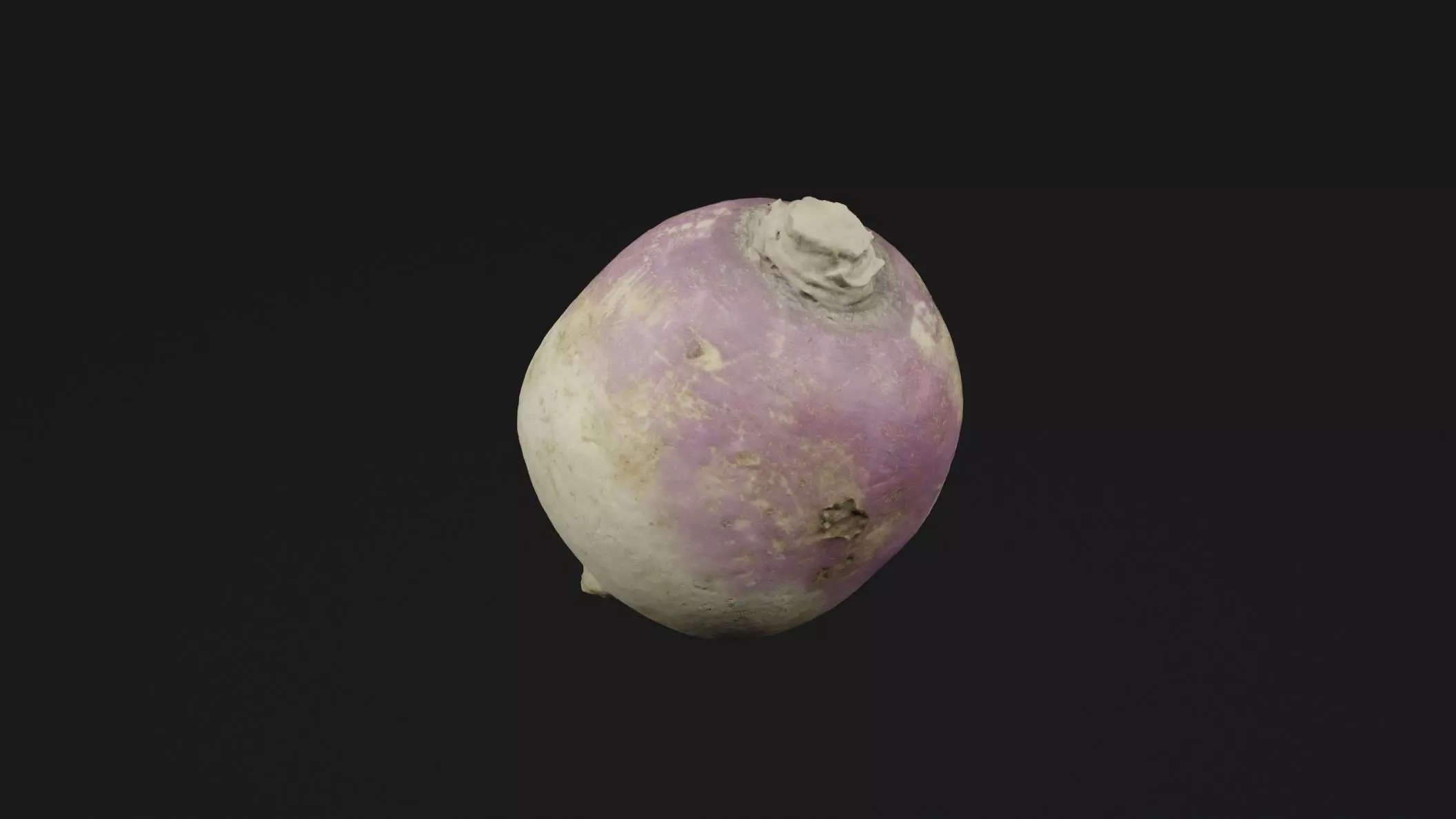 Turnip Vegetable 3D model_0