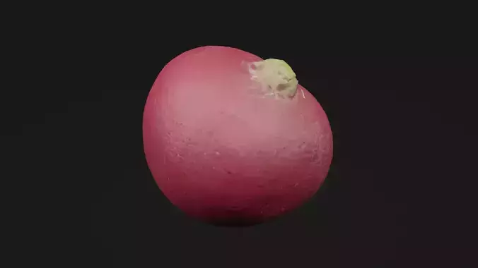 Radish