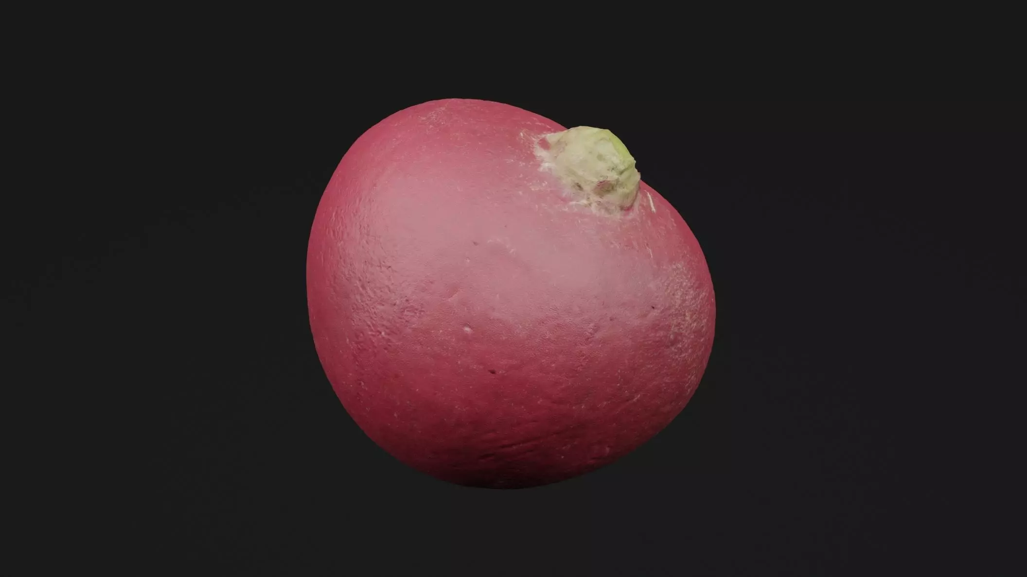 Radish 3D model