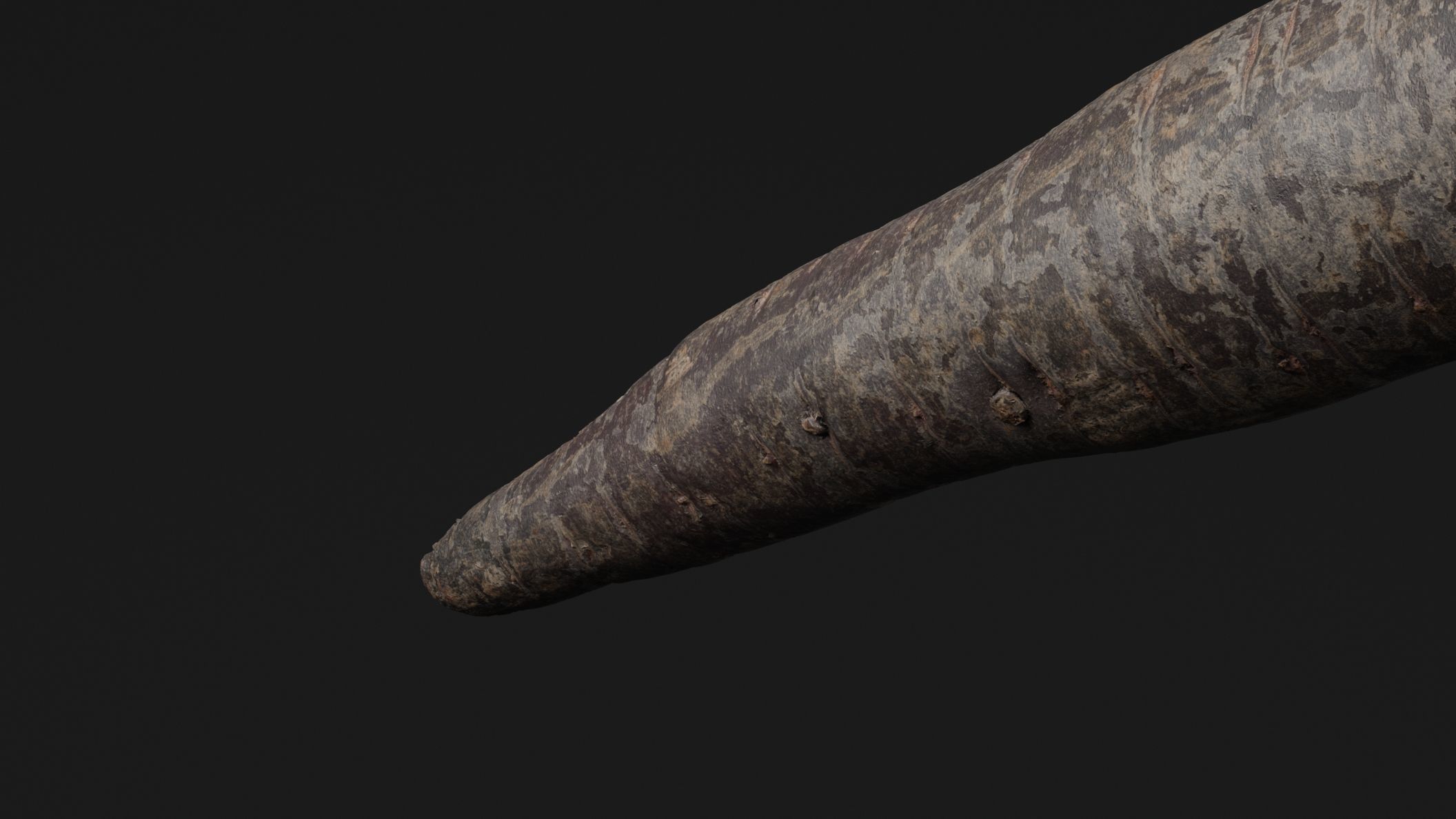 Purple Carrot 3D model_2