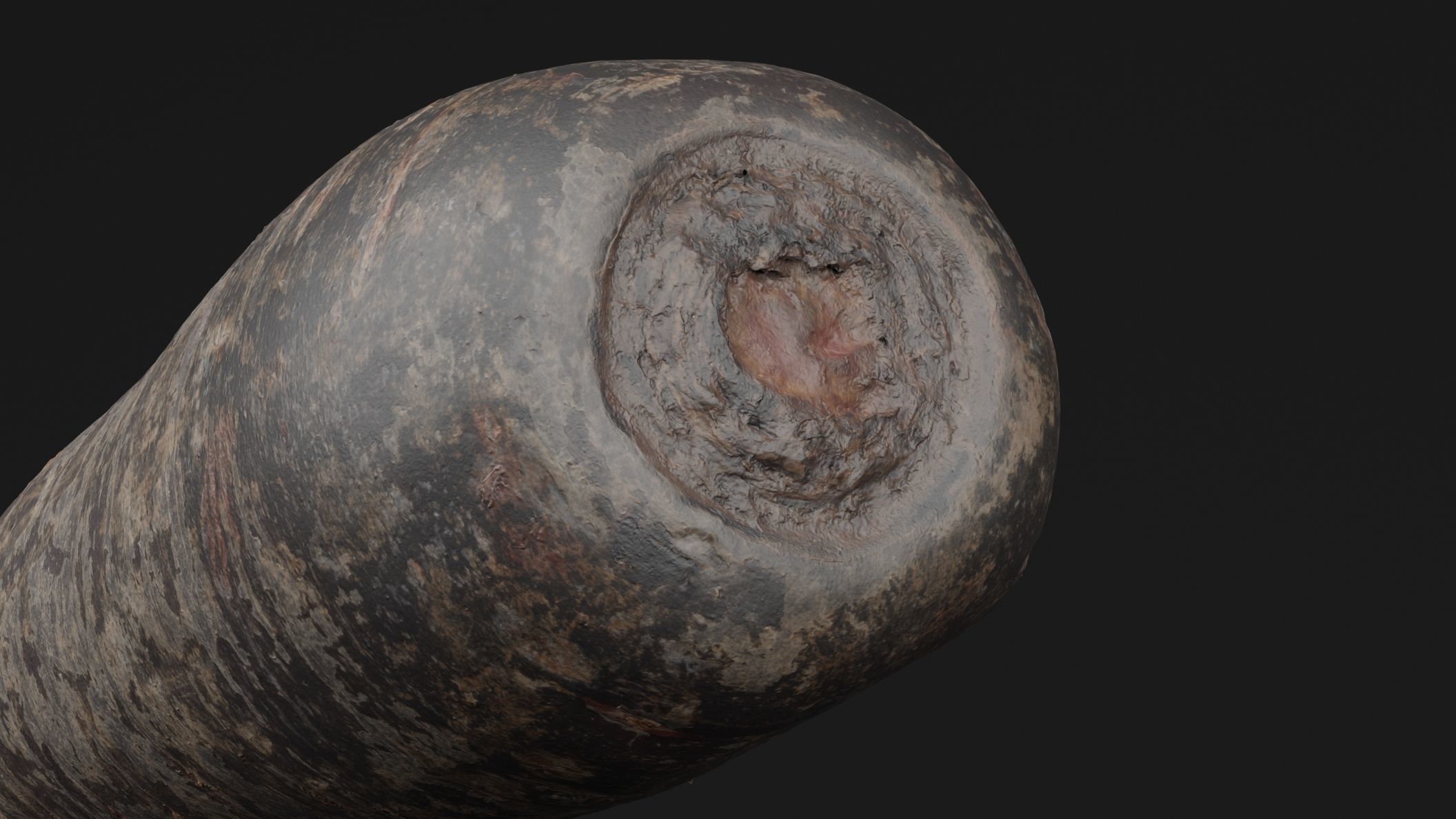 Purple Carrot 3D model_1