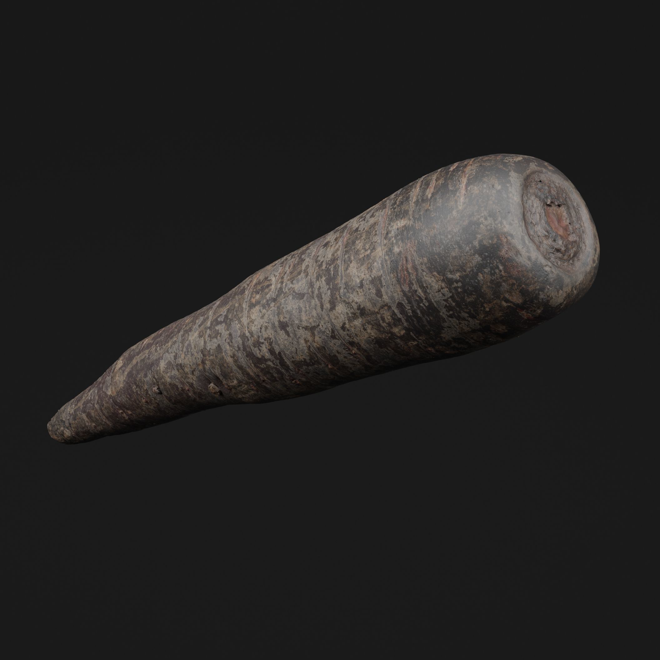 Purple Carrot 3D model_5