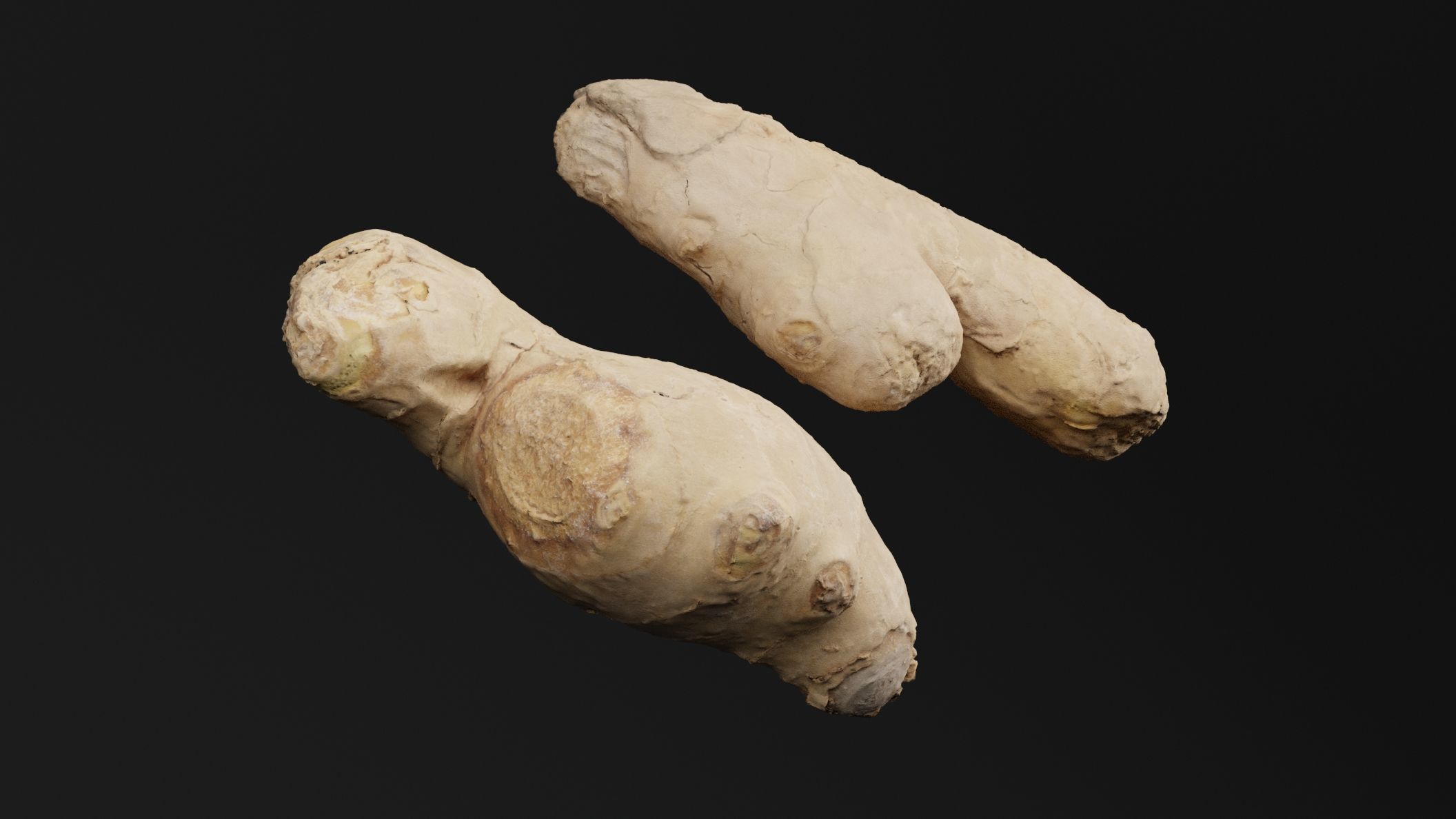 Ginger 3D model_3