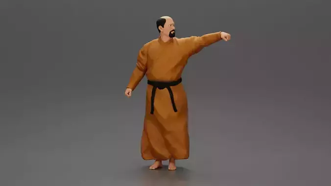 kung fu master performing kung fu moves 3D print model