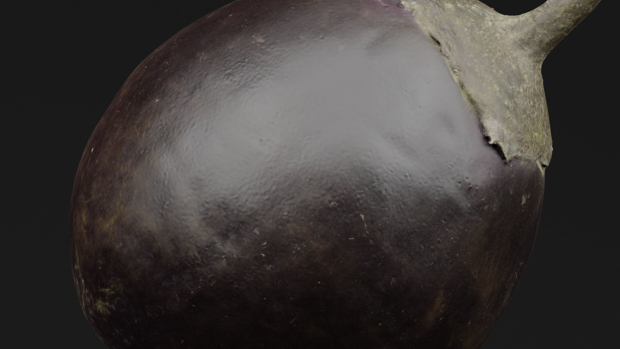 Eggplant 3D model_2