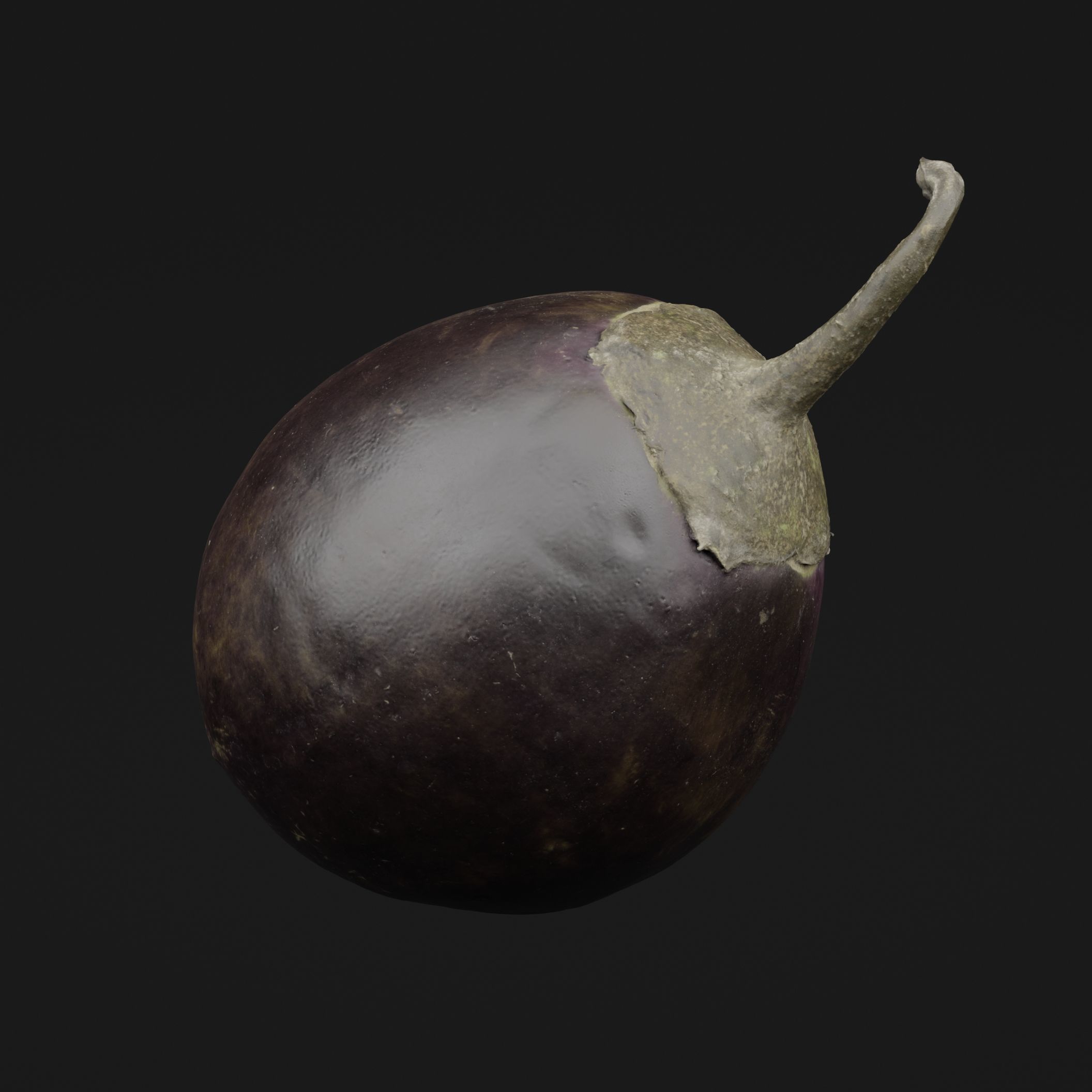 Eggplant 3D model_5