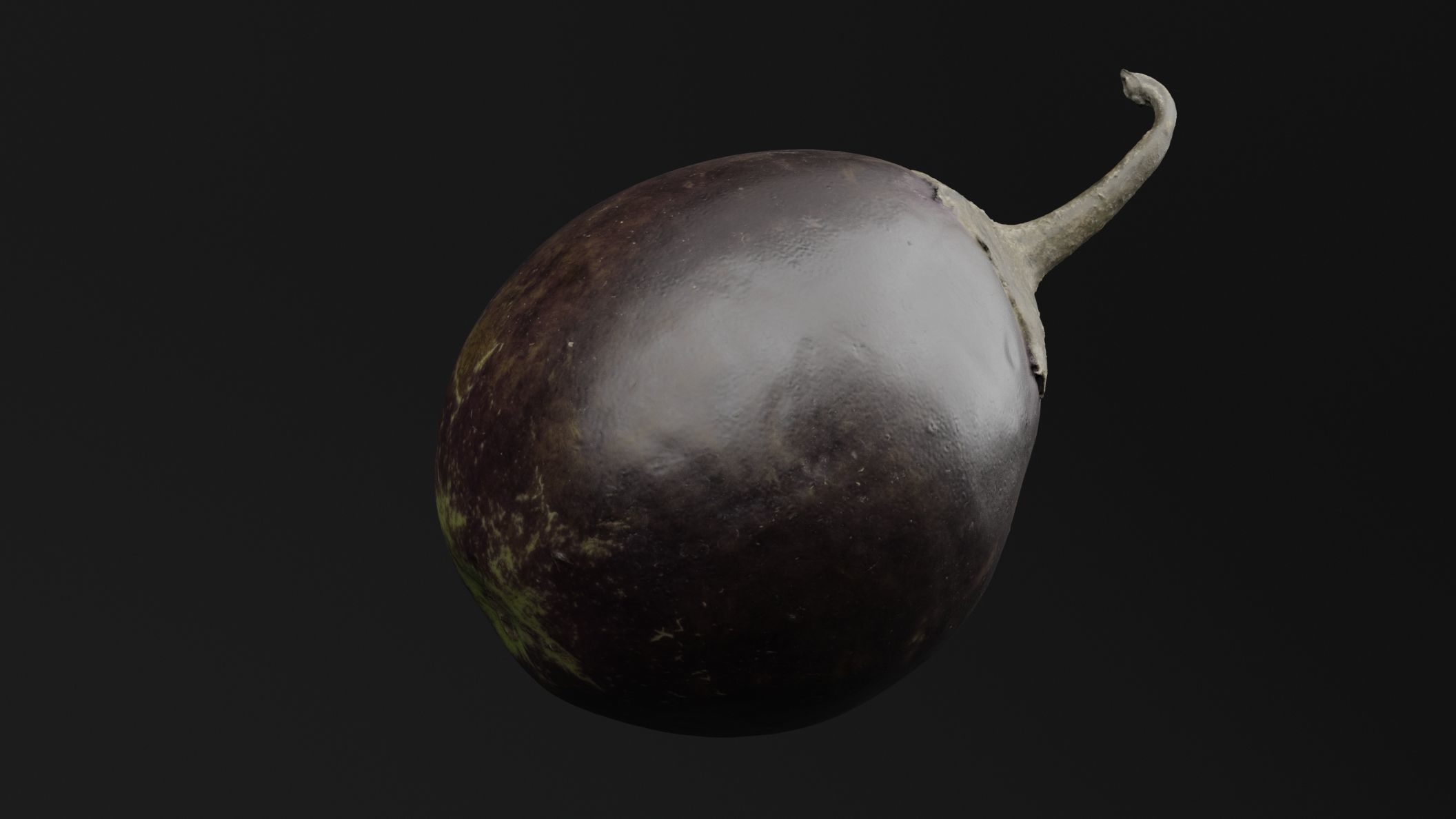 Eggplant 3D model_3