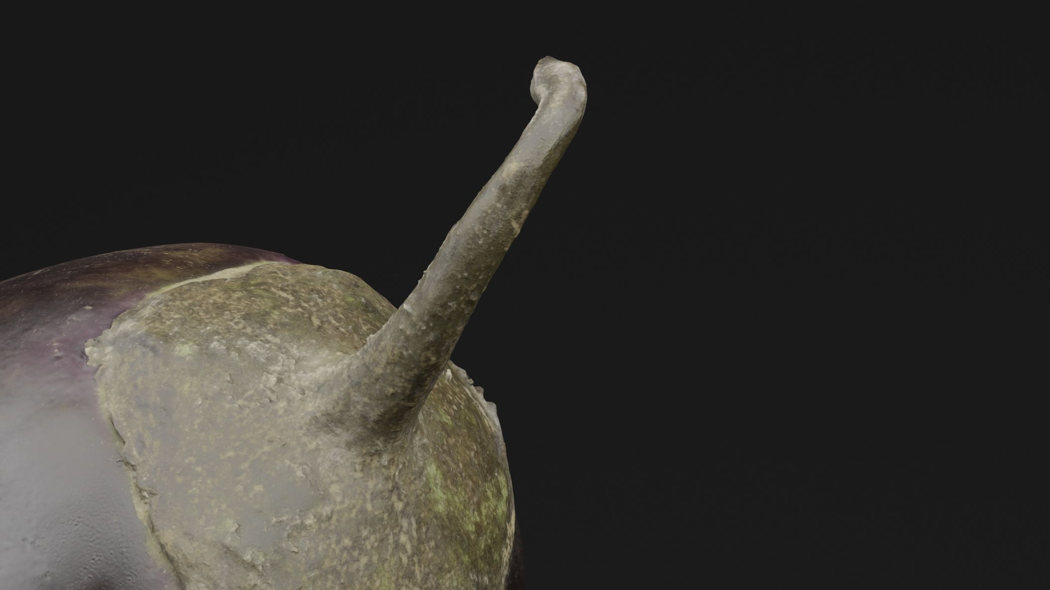 Eggplant 3D model_1