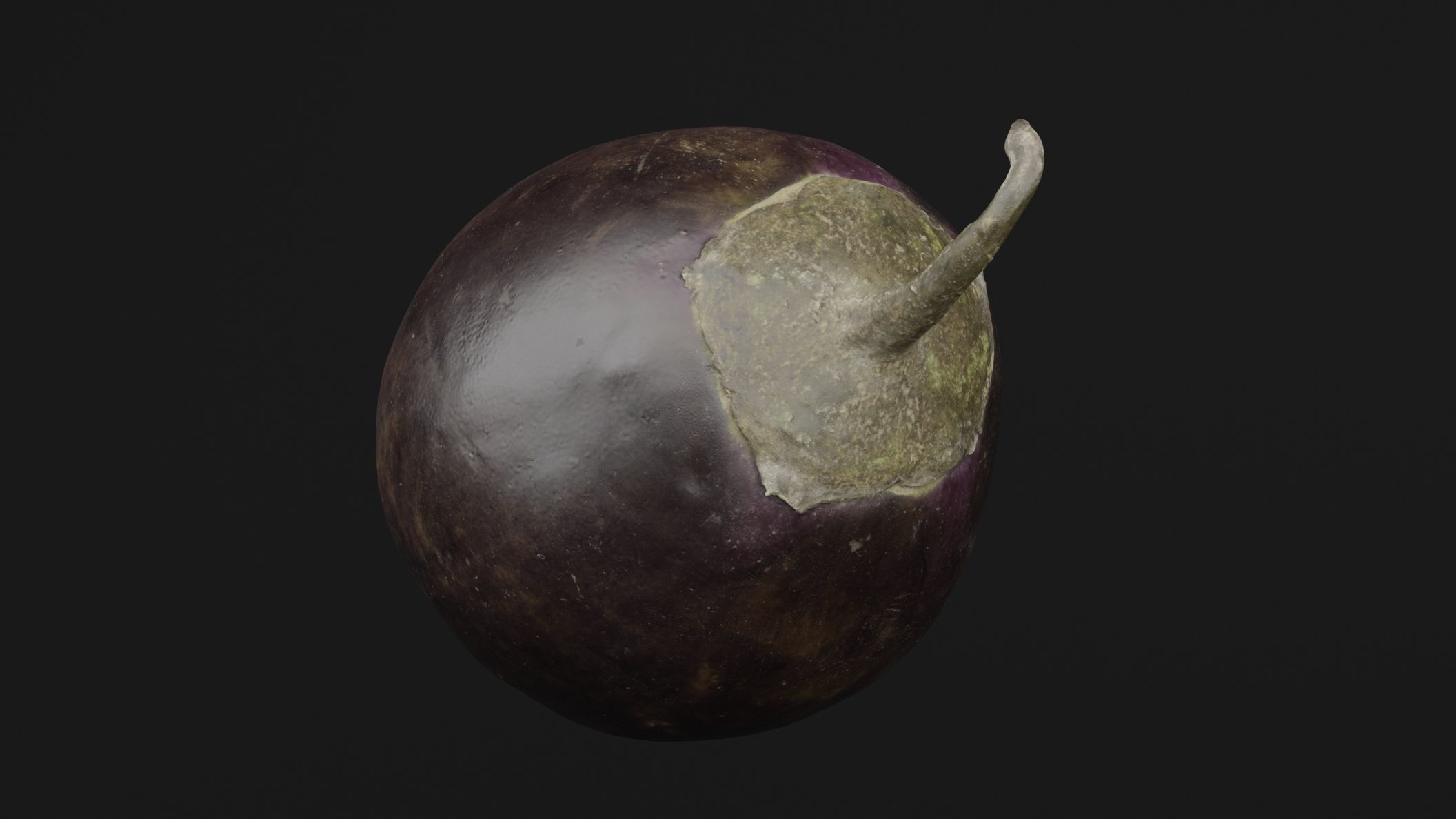 Eggplant 3D model_4