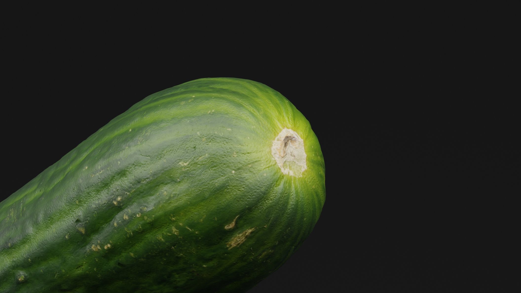 Cucumber  3D model_1