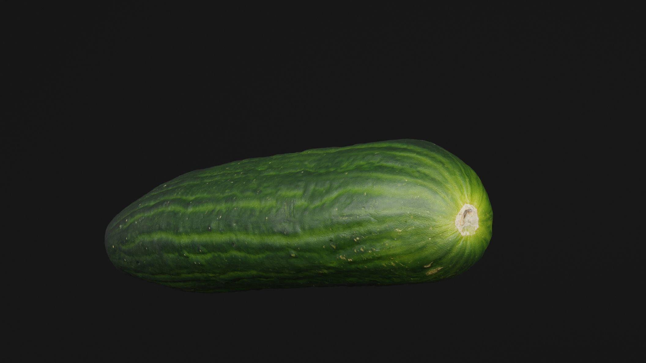 Cucumber  3D model_4