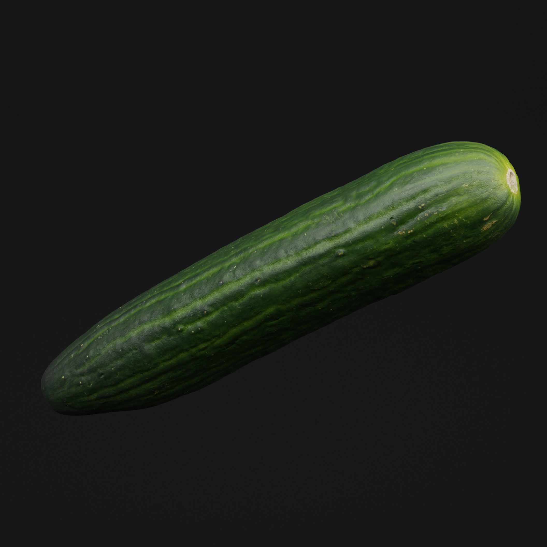 Cucumber  3D model_5