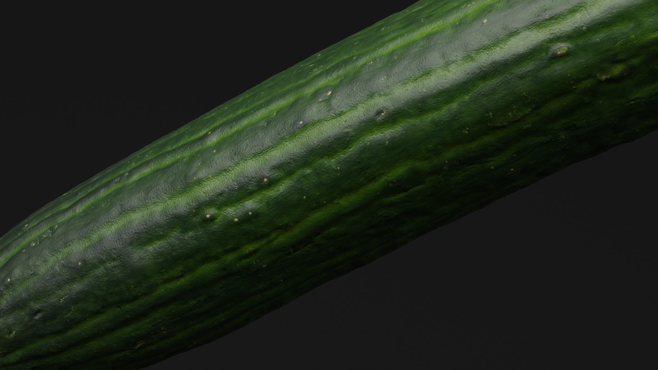 Cucumber  3D model_2