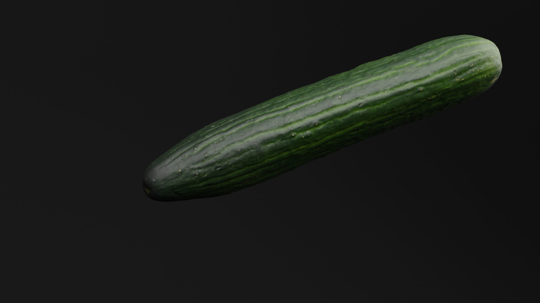 Cucumber  3D model_3