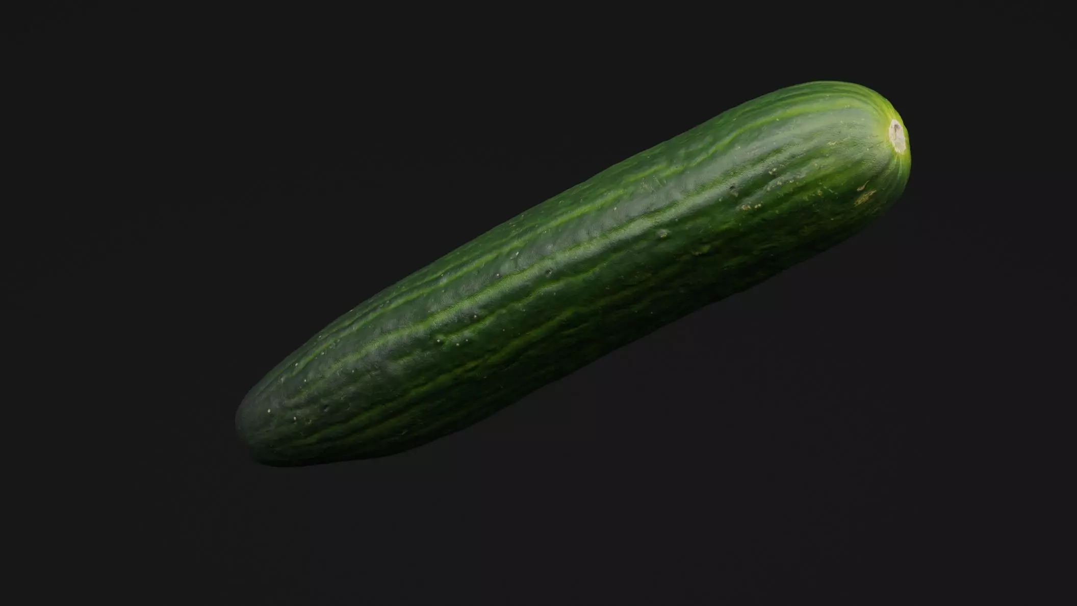 Cucumber  3D model_0