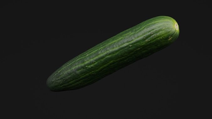 Cucumber  3D model