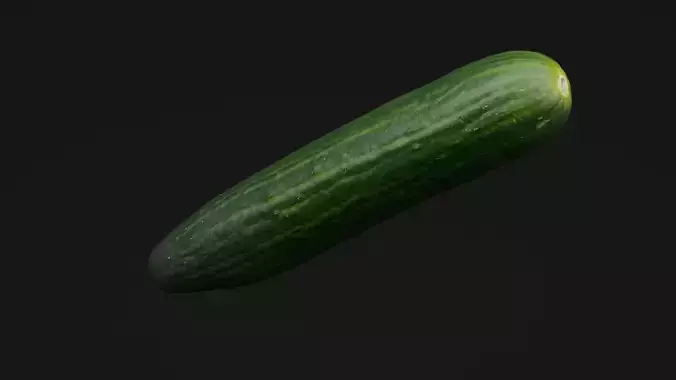 Cucumber 