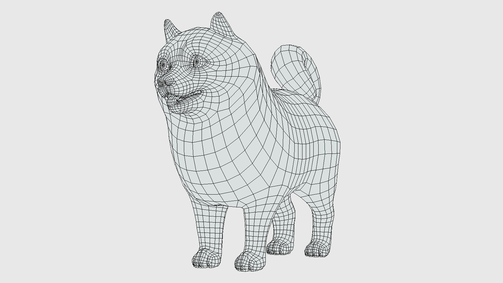 Cartoon Dog - Pomeranian Spitz Low-poly 3D model_14