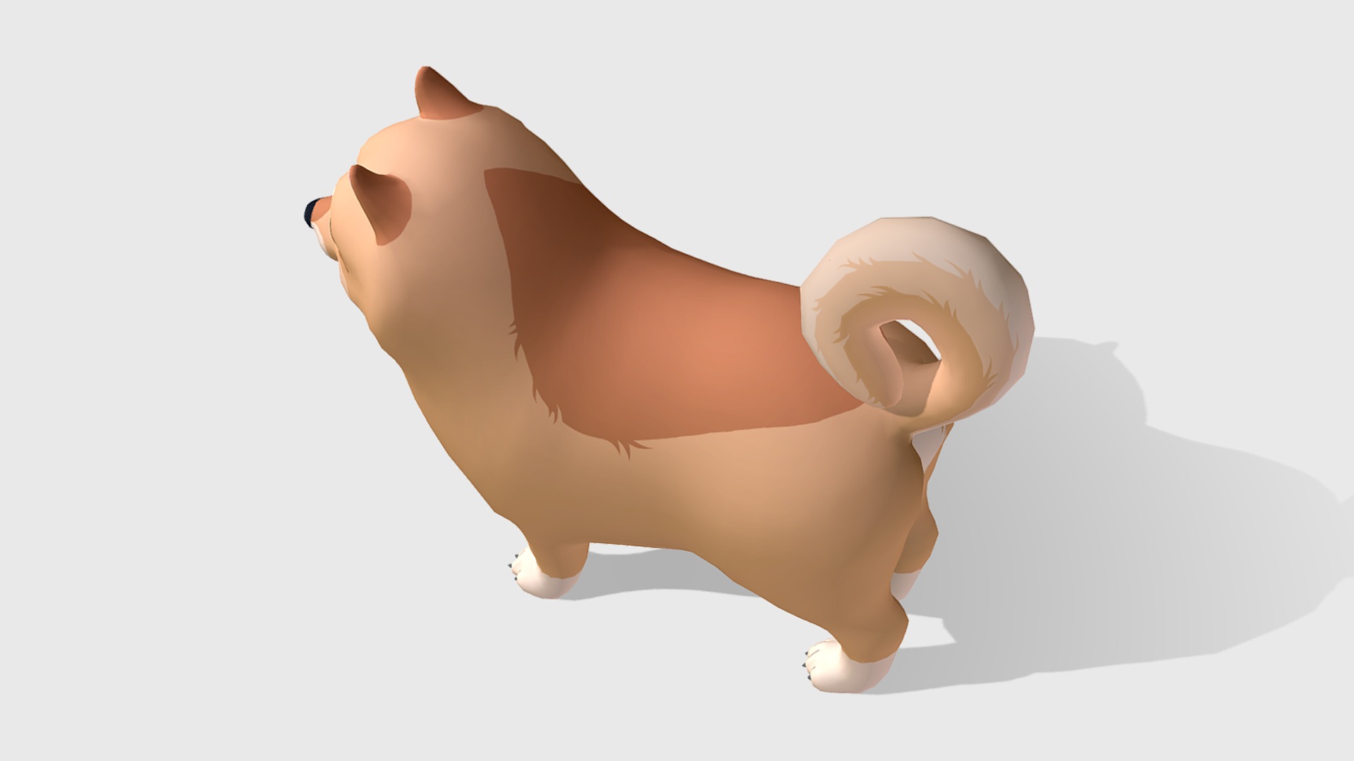 Cartoon Dog - Pomeranian Spitz Low-poly 3D model_5