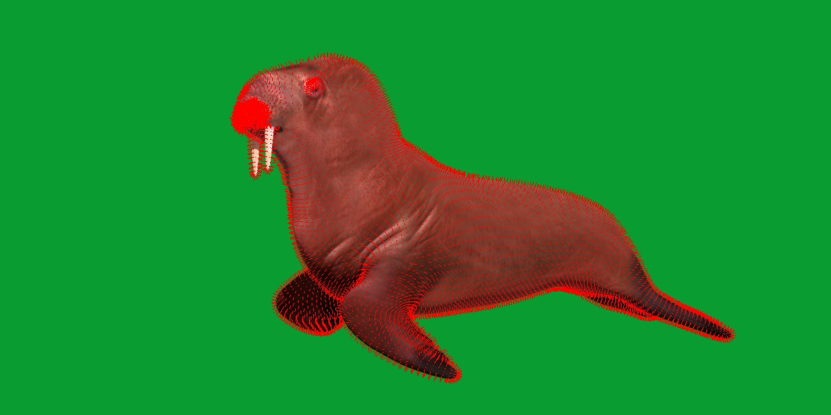 Walrus Low-poly 3D model_14