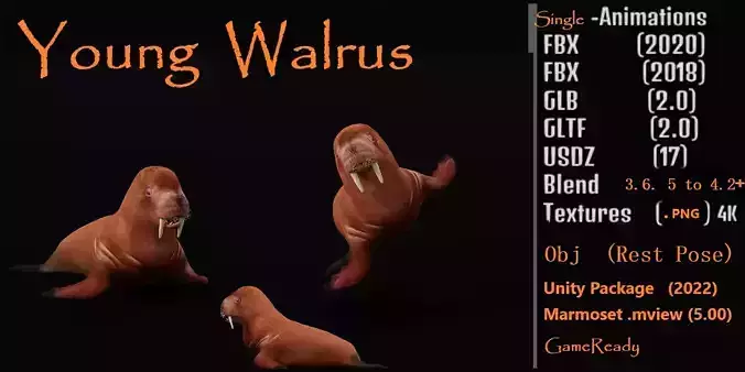Walrus
