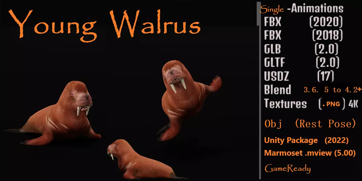 Walrus Low-poly 3D model_0