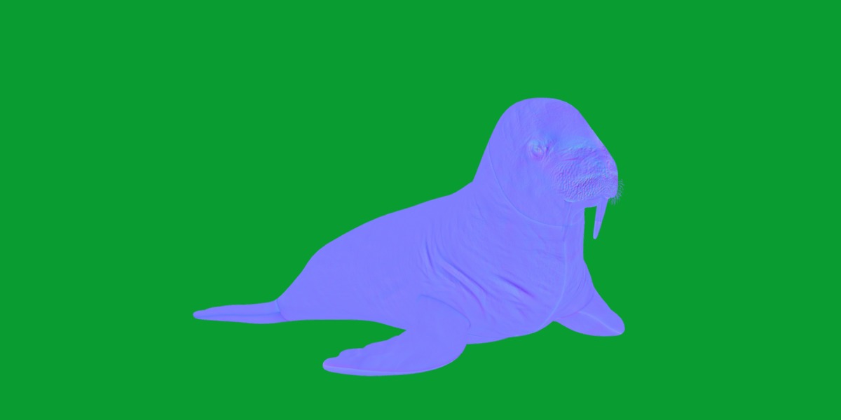 Walrus Low-poly 3D model_7