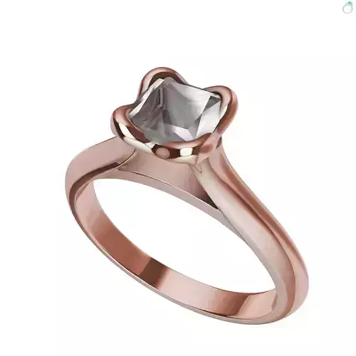 Princess Cut Cathedral Ring