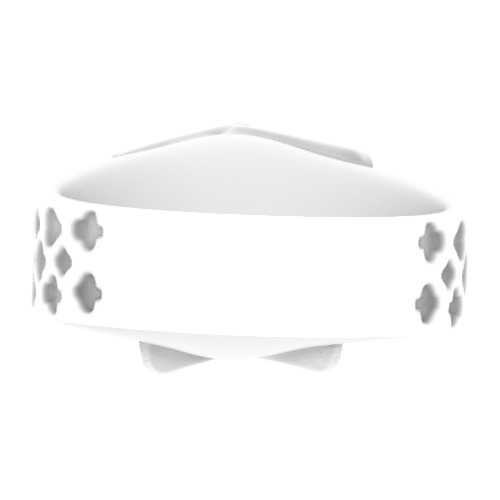 Ring of Luck 3D print model_10