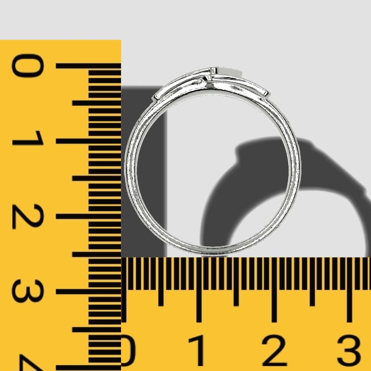 Ring of Luck 3D print model_4