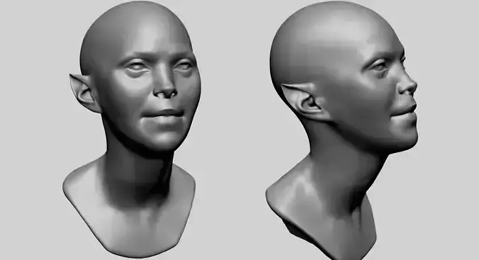 Female Head H