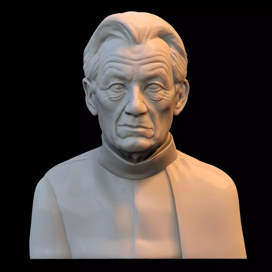 Iam Mckellen Free 3D print model