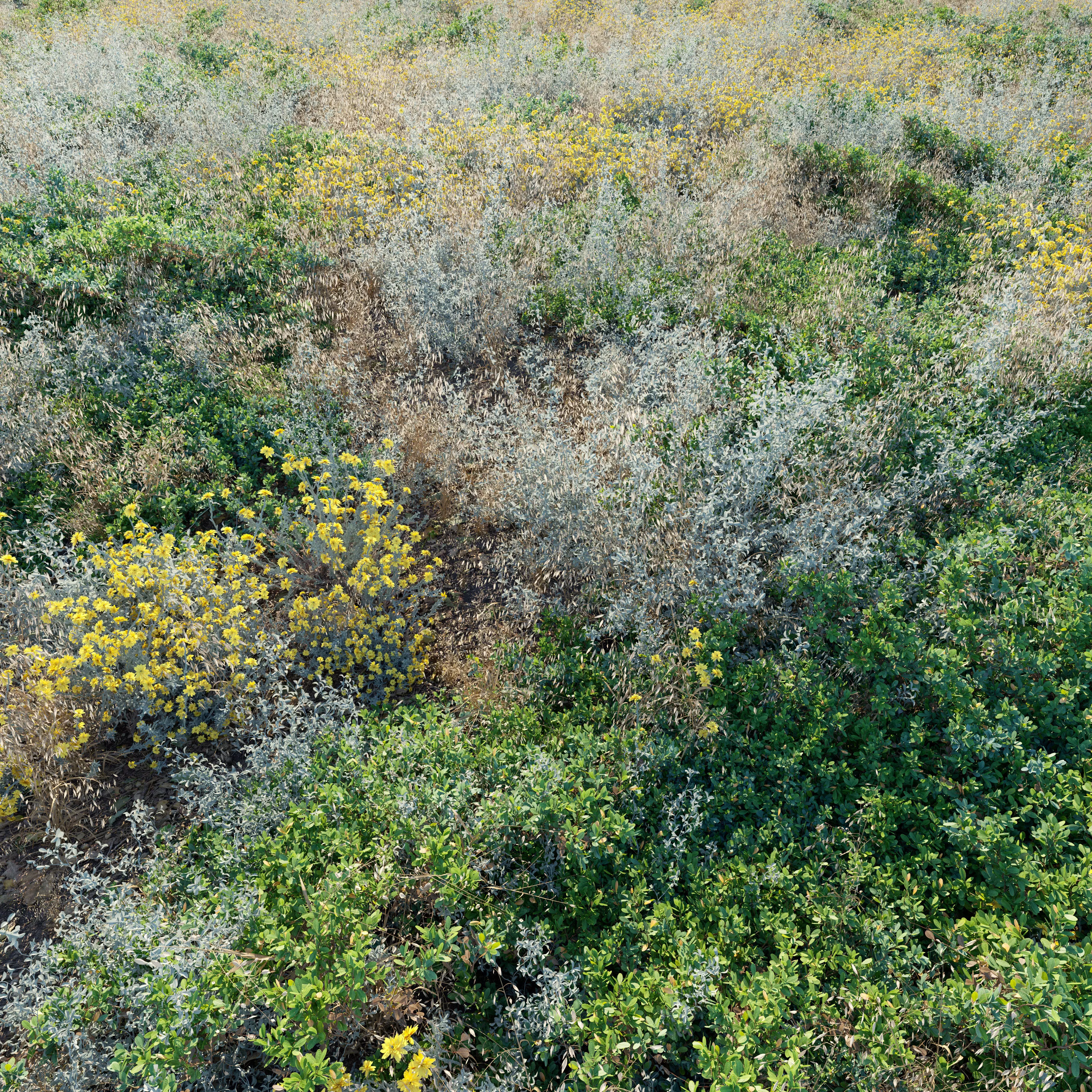 Meadow 19 3D model_0