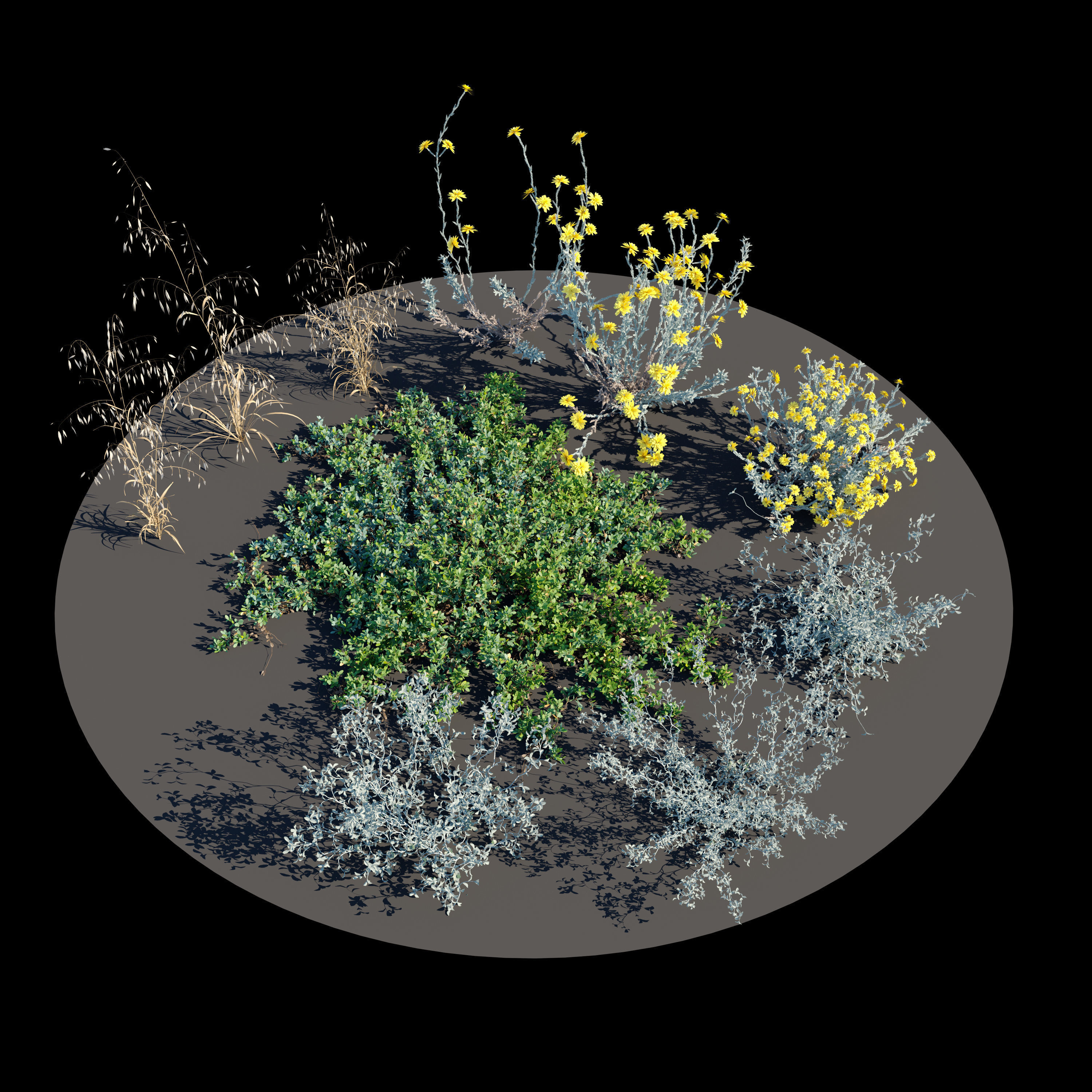 Meadow 19 3D model_2