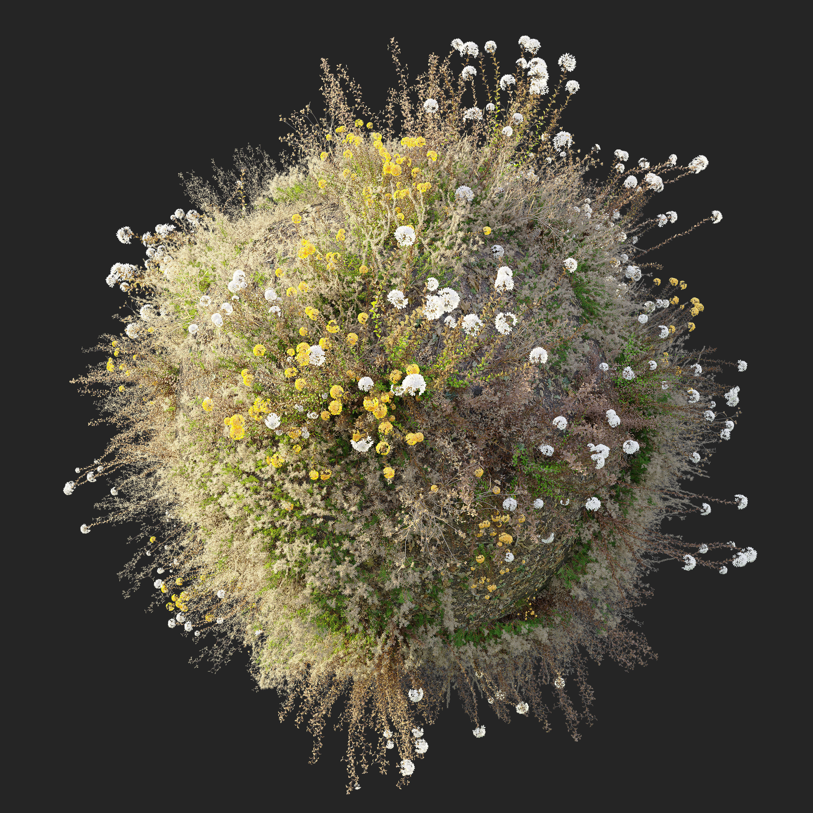 Meadow 20 3D model_3