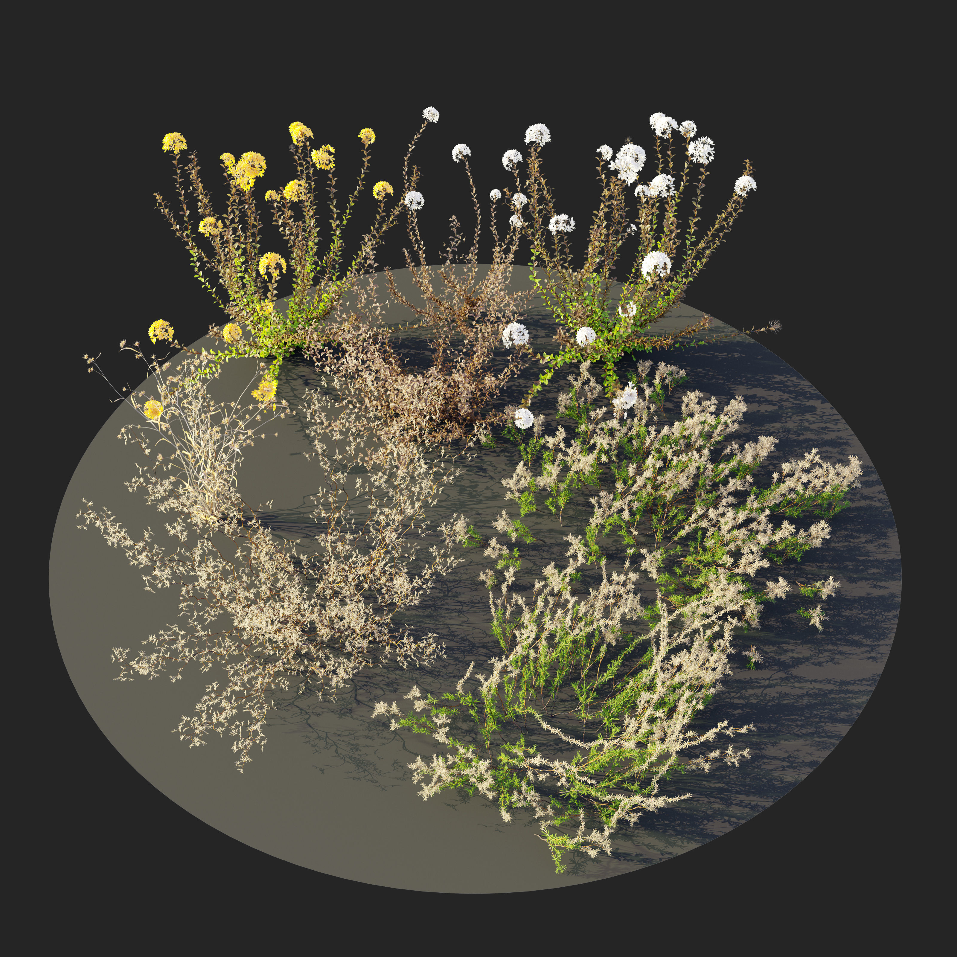 Meadow 20 3D model_4