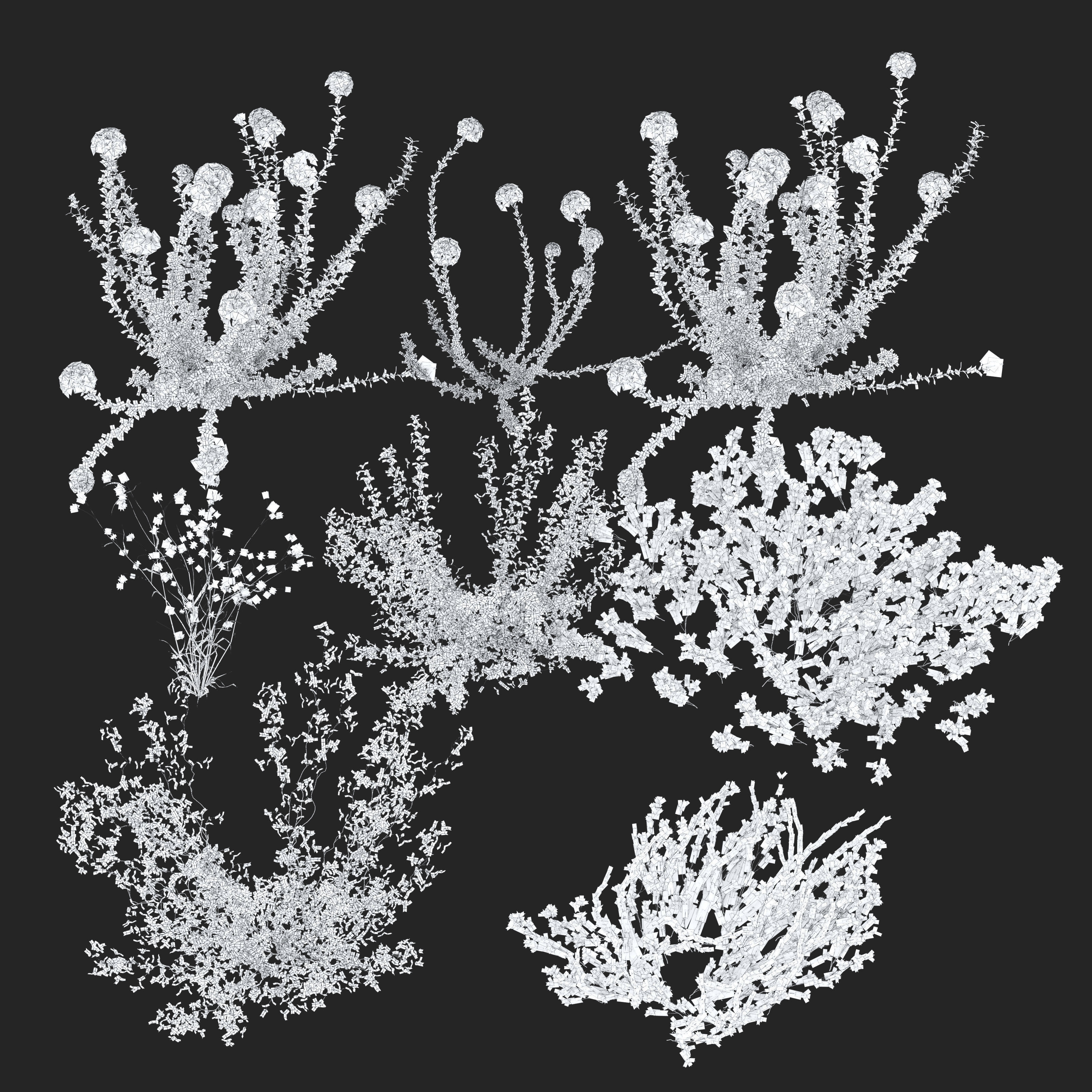 Meadow 20 3D model_5