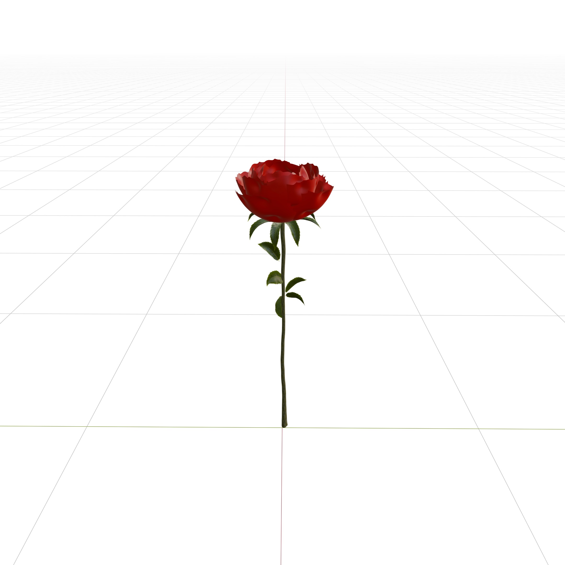 Different color rose in flower vases 3D model_8