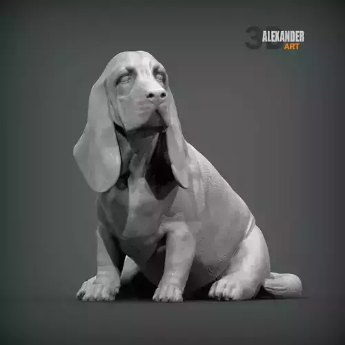 Basset Hound sitting 3D print model