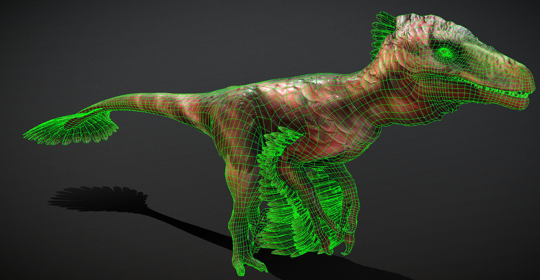 ULTIMATE RAPTOR Low-poly 3D model_3