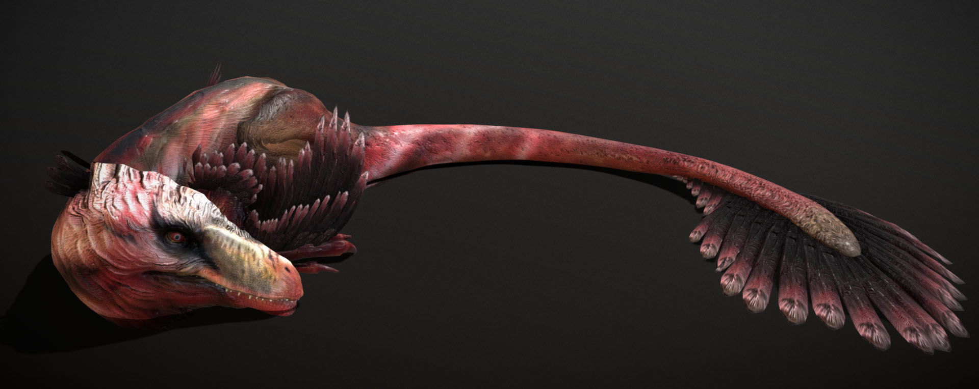 ULTIMATE RAPTOR Low-poly 3D model_8