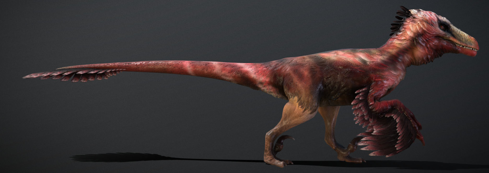 ULTIMATE RAPTOR Low-poly 3D model_7