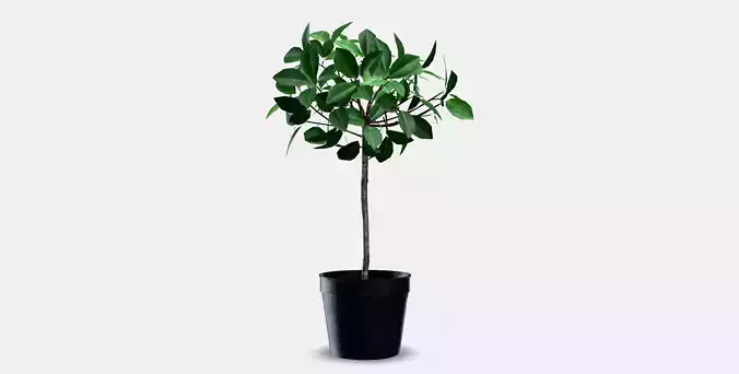 FEJKA Artificial potted plant 4