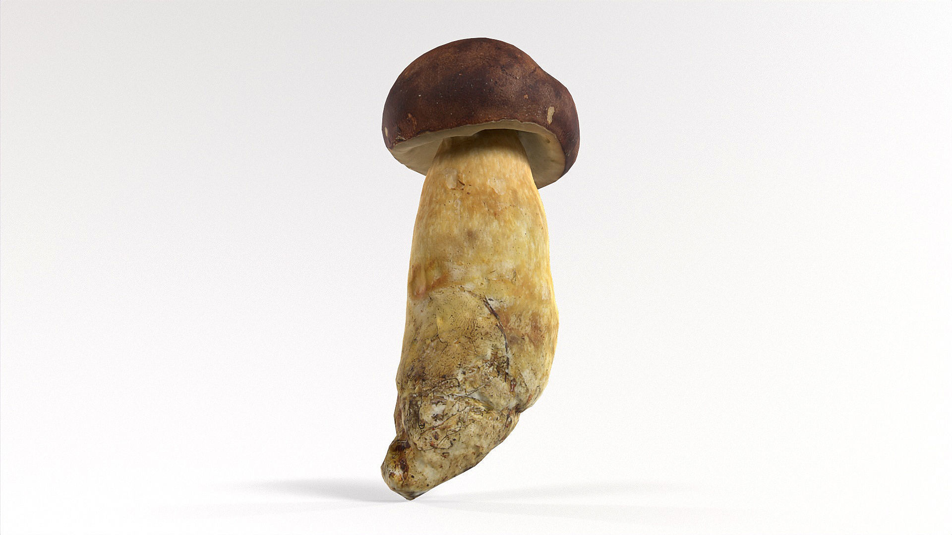 Boletus Badius 02 Low-poly 3D model_2